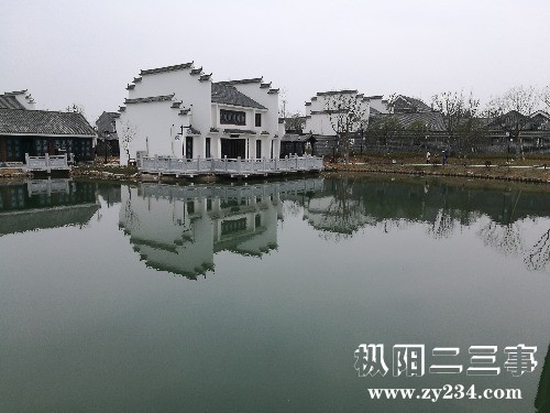 IMG_20190308_142340.jpg