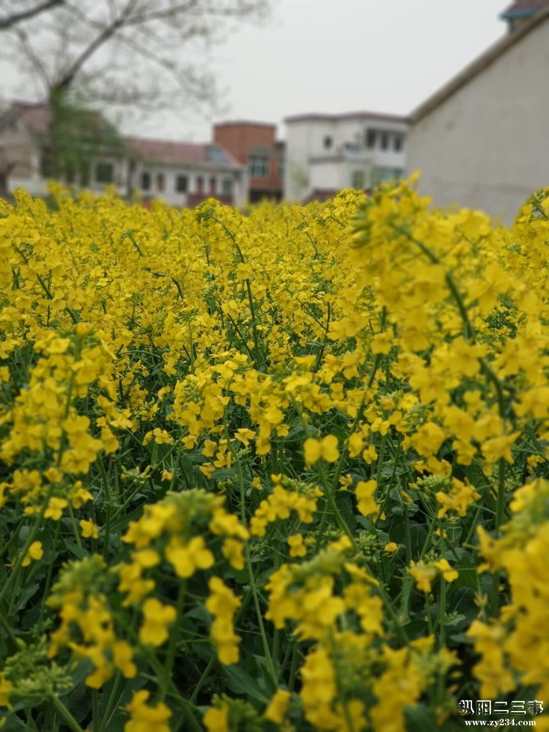 微信图片_20190326150232.jpg