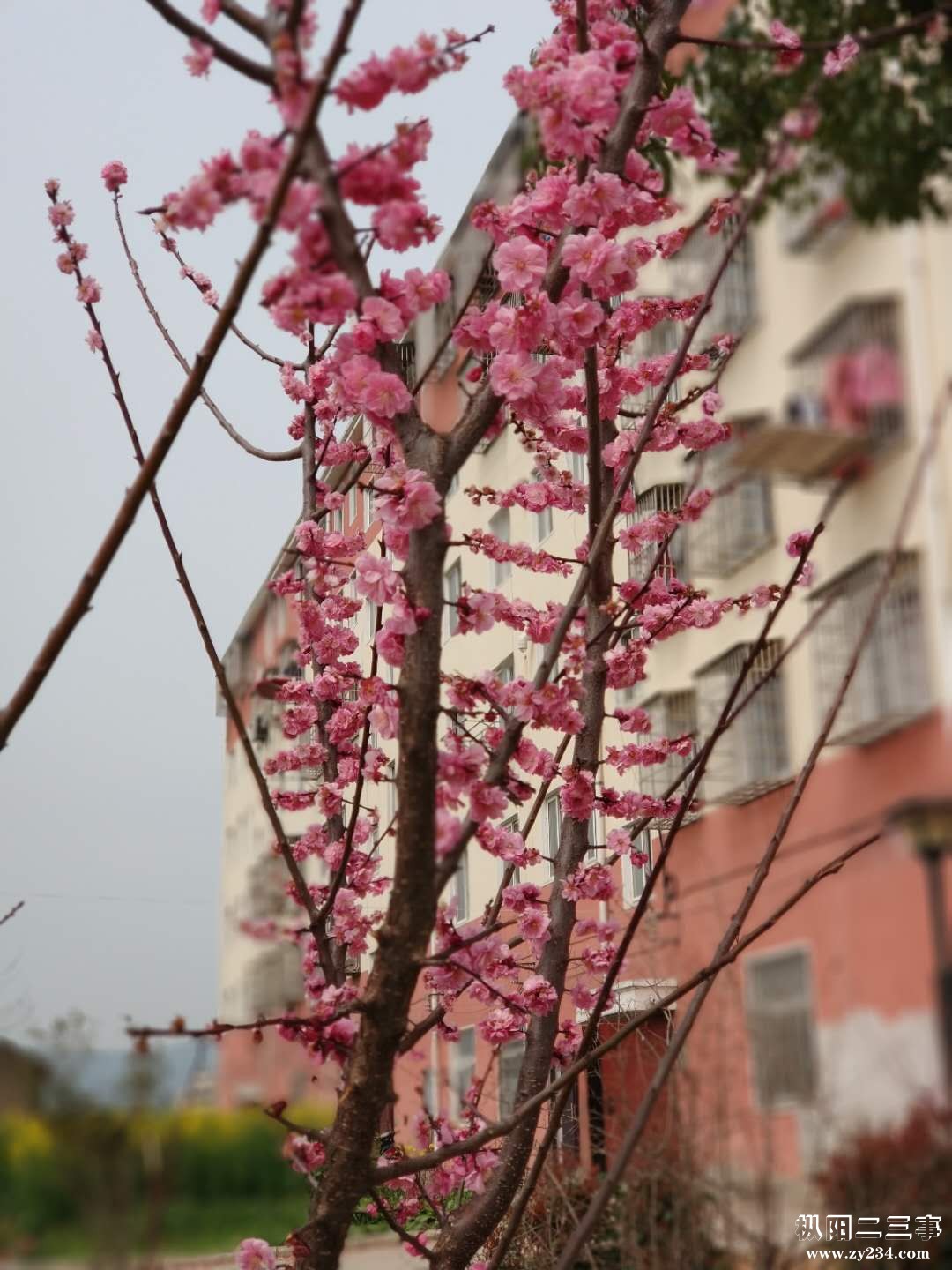 微信图片_20190326150236.jpg