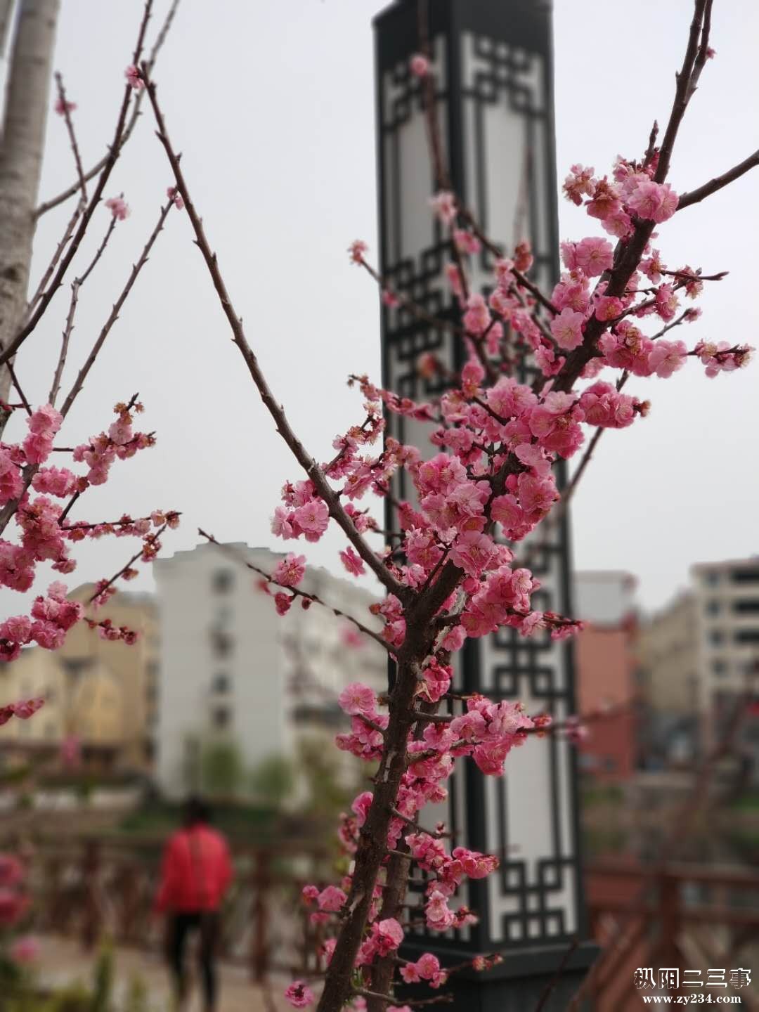 微信图片_20190326150244.jpg