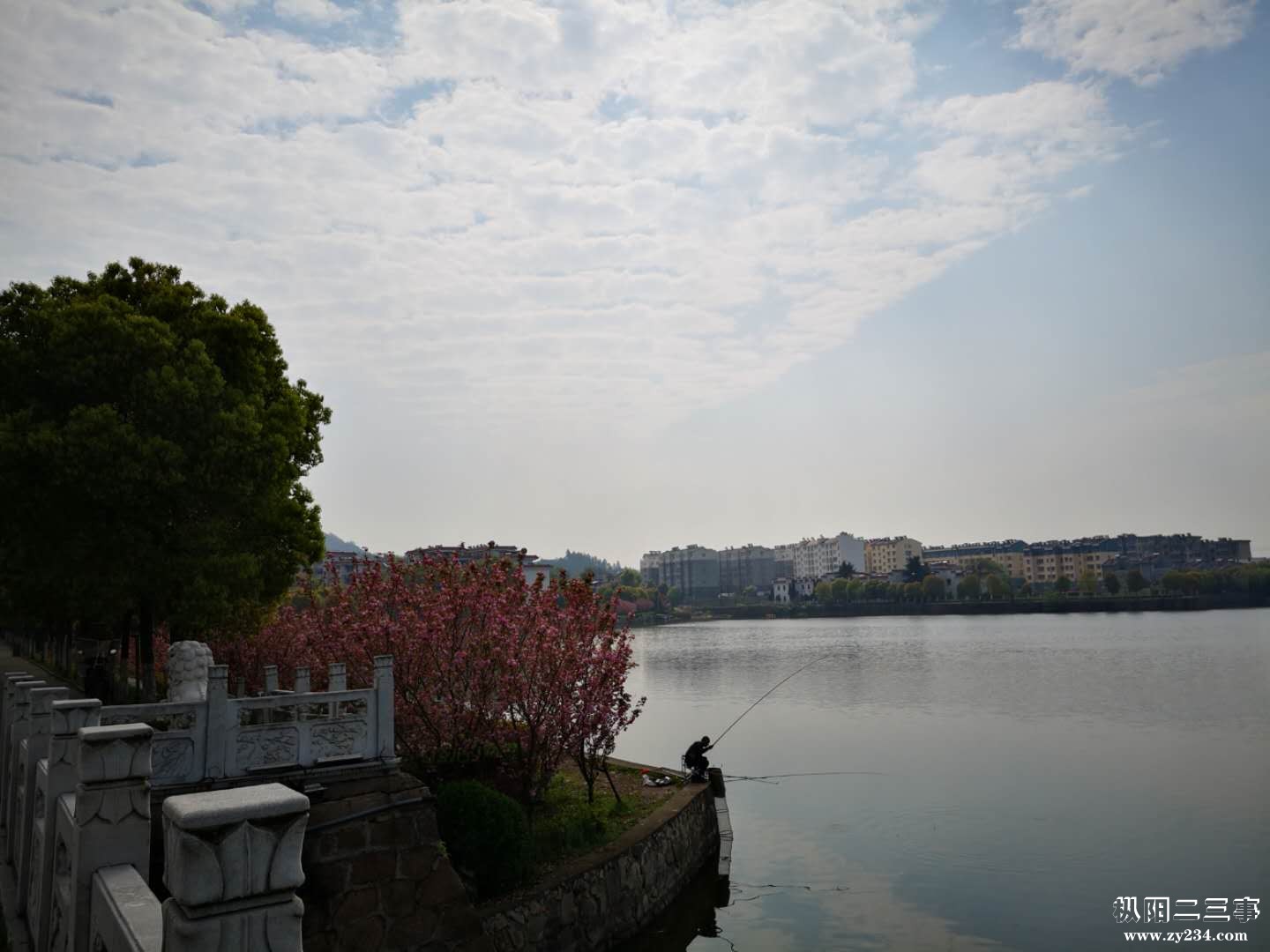 3742F157-F8AE-4D52-A1CA-0AEA08222D63.jpeg