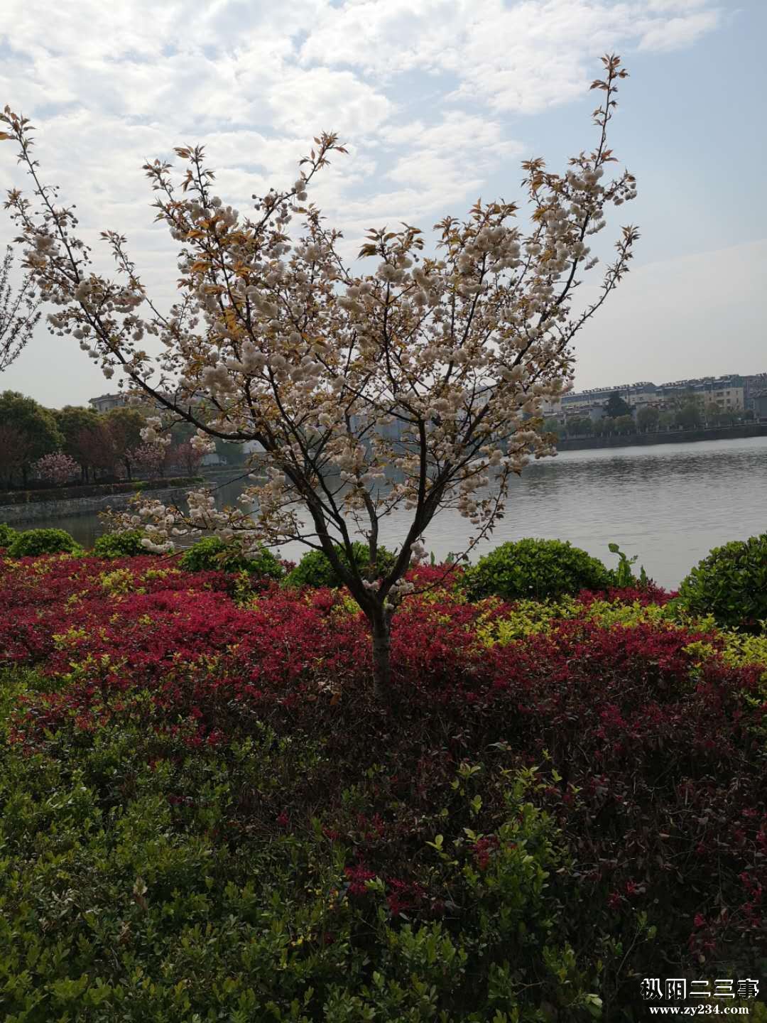 D59086DB-5FD7-4B97-AEE7-4D998401936E.jpeg