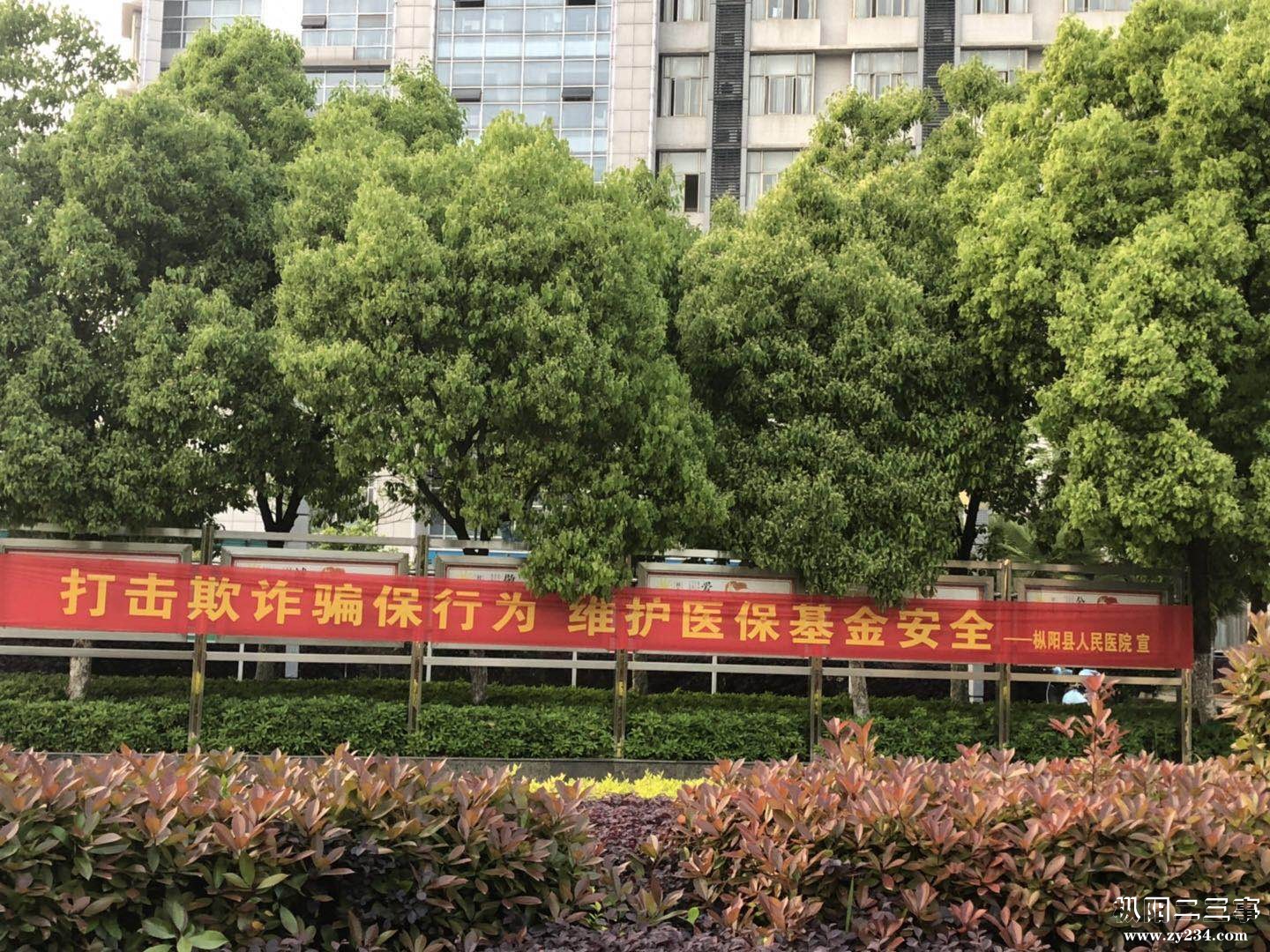 0005_副本.jpg