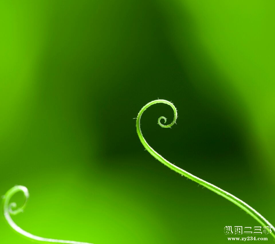 草.jpg