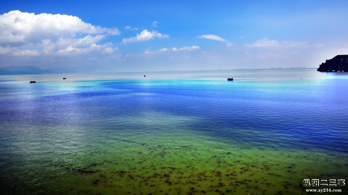 大海4.jpg