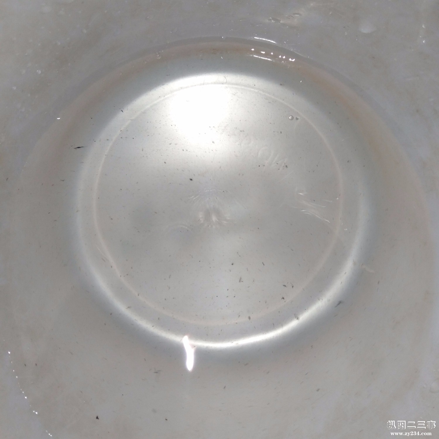 IMG20190730183920.jpg