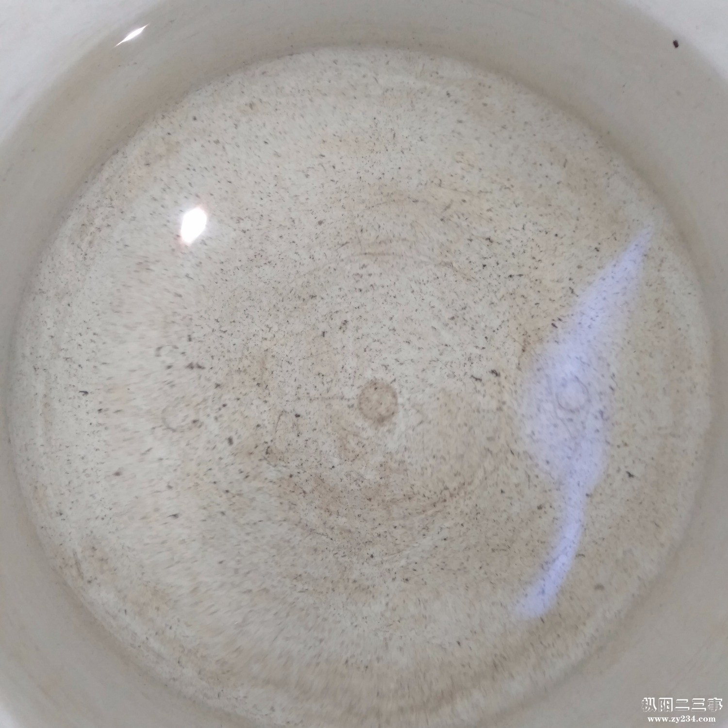 IMG20190730183909.jpg