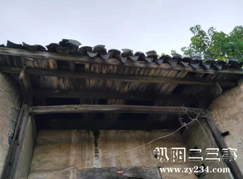 1565434882(1).png