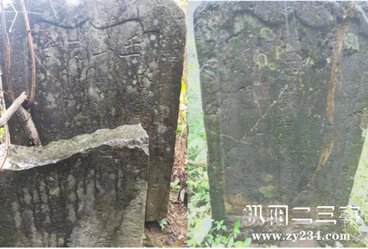 1565434946(1).png