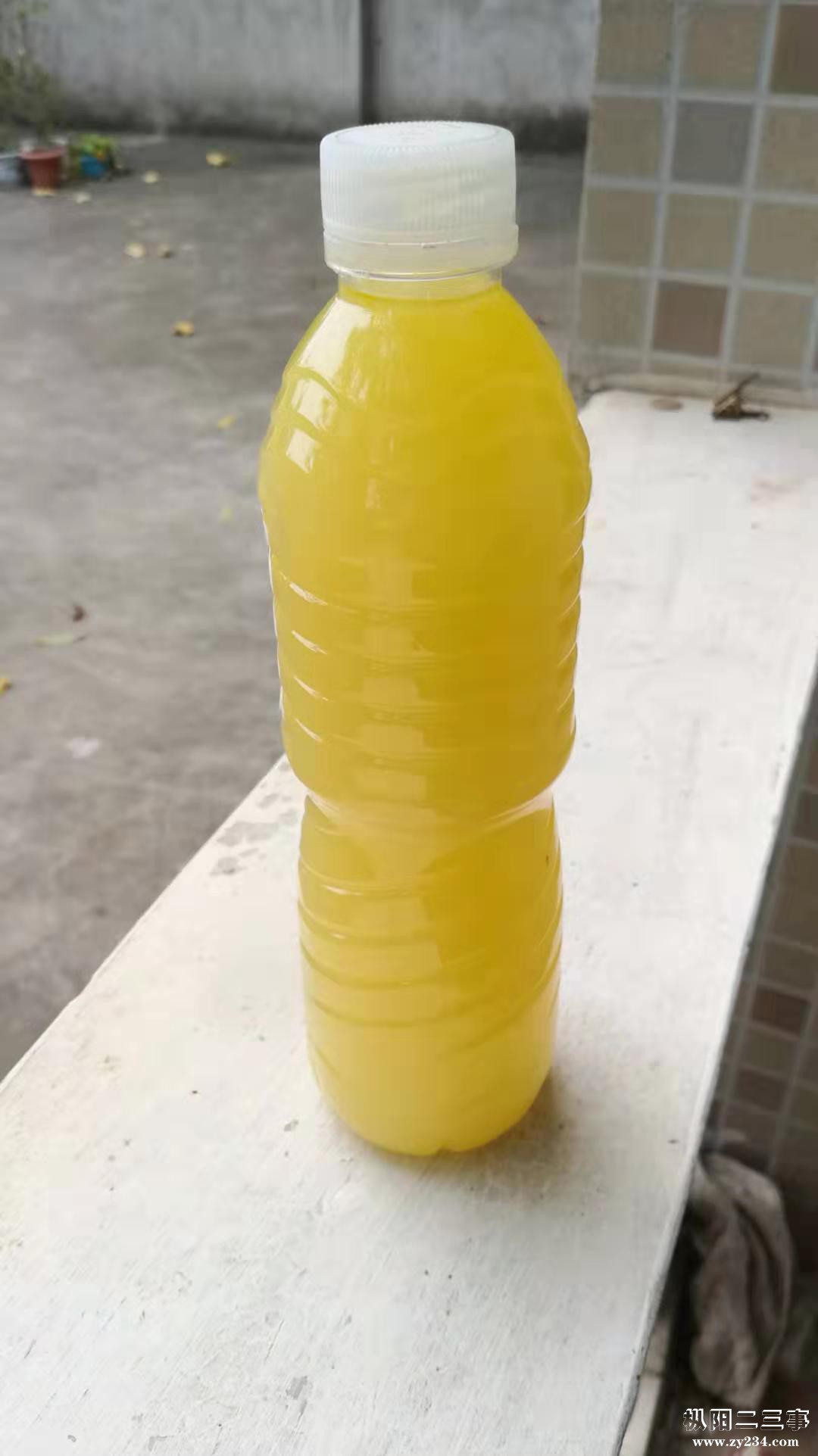 微信图片_20191001092419.jpg