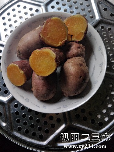 IMG20191027075416.jpg