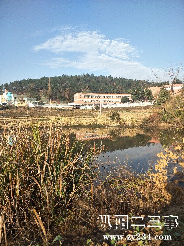 IMG20191120081314.jpg