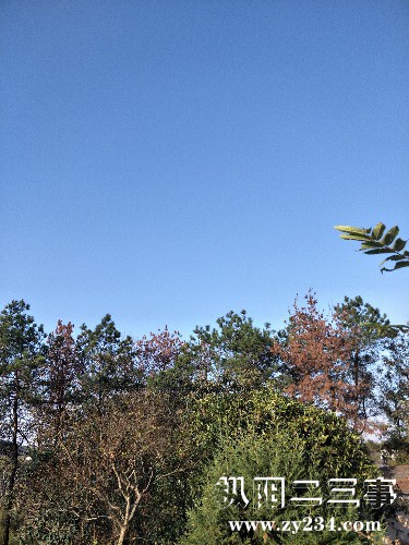IMG20191119152435.jpg