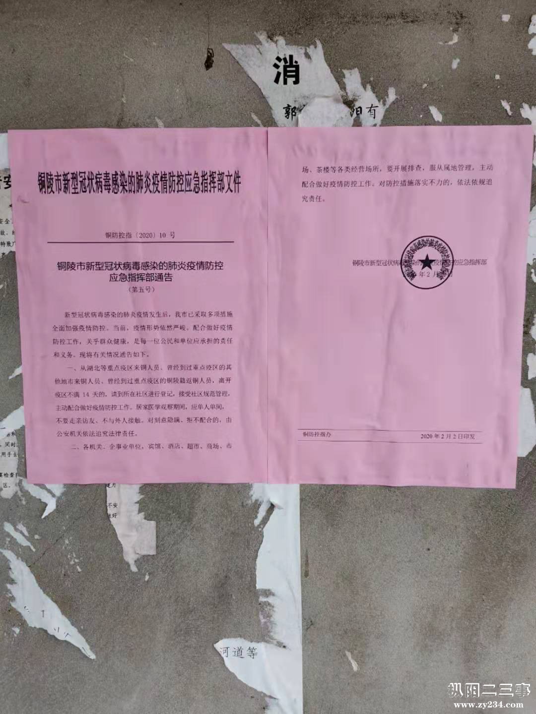 mmexport1580701833876.jpg