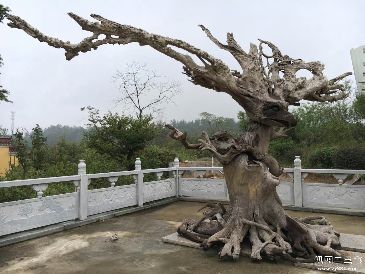 根雕.jpg