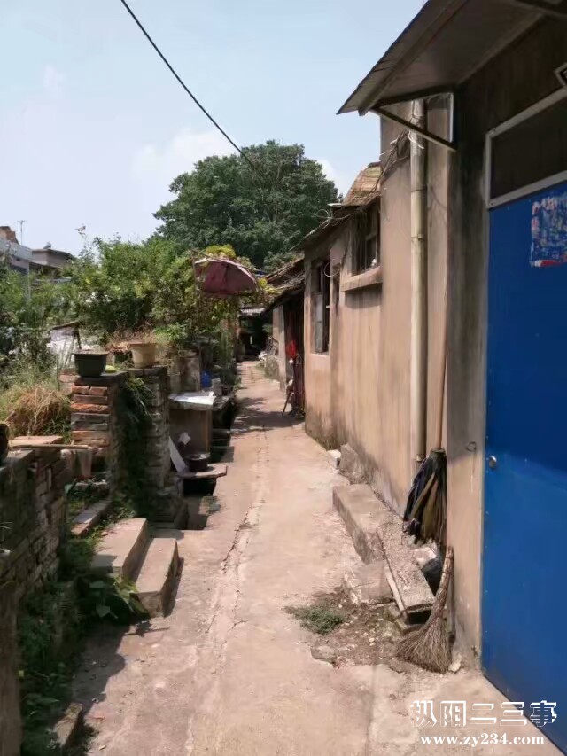 上码头相片1518702632306.jpeg