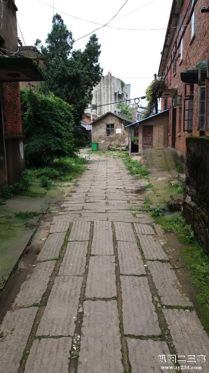 上码头相片1519742053178.jpeg
