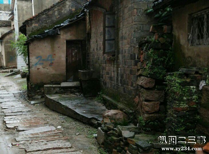 上码头相片mmexport1519692701560.jpg