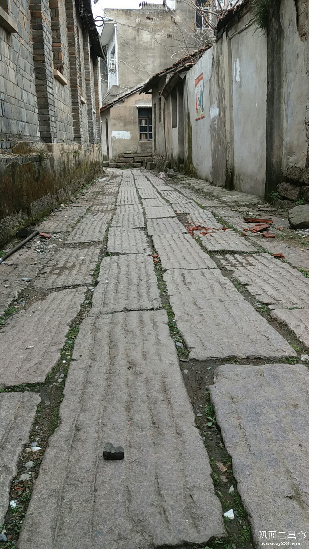 上码头相片wx_camera_1519538830032.jpg