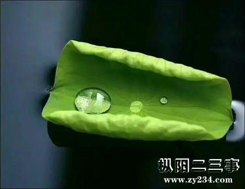 1265258481.jpeg
