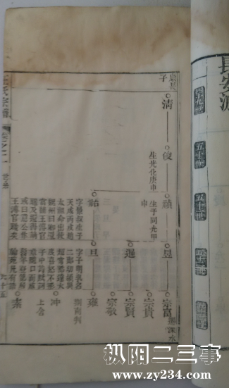 白杨王氏宗谱1.png