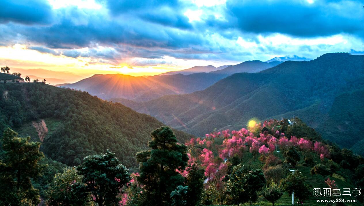 美丽山顶.jpg