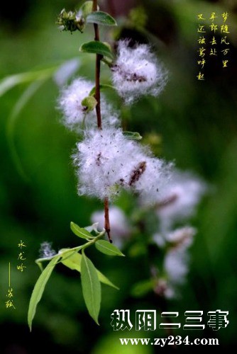 00eb65388a46c132449588f70d85b9fc~640x640.JPEG
