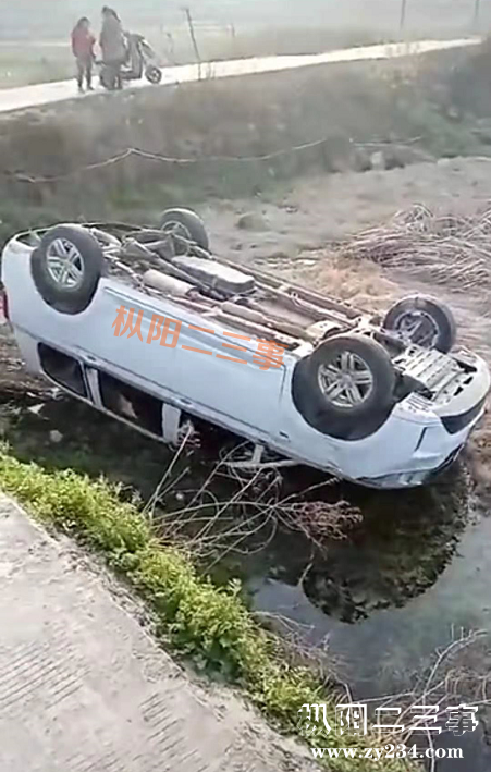 010.png