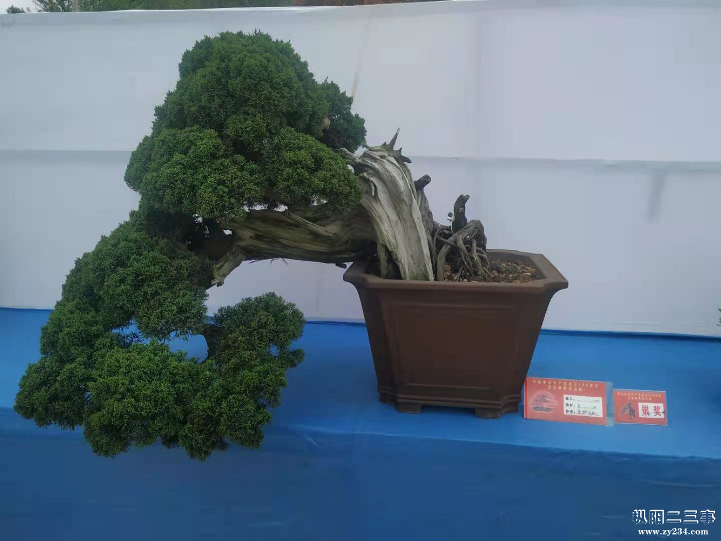 微信图片_20210402222539.jpg