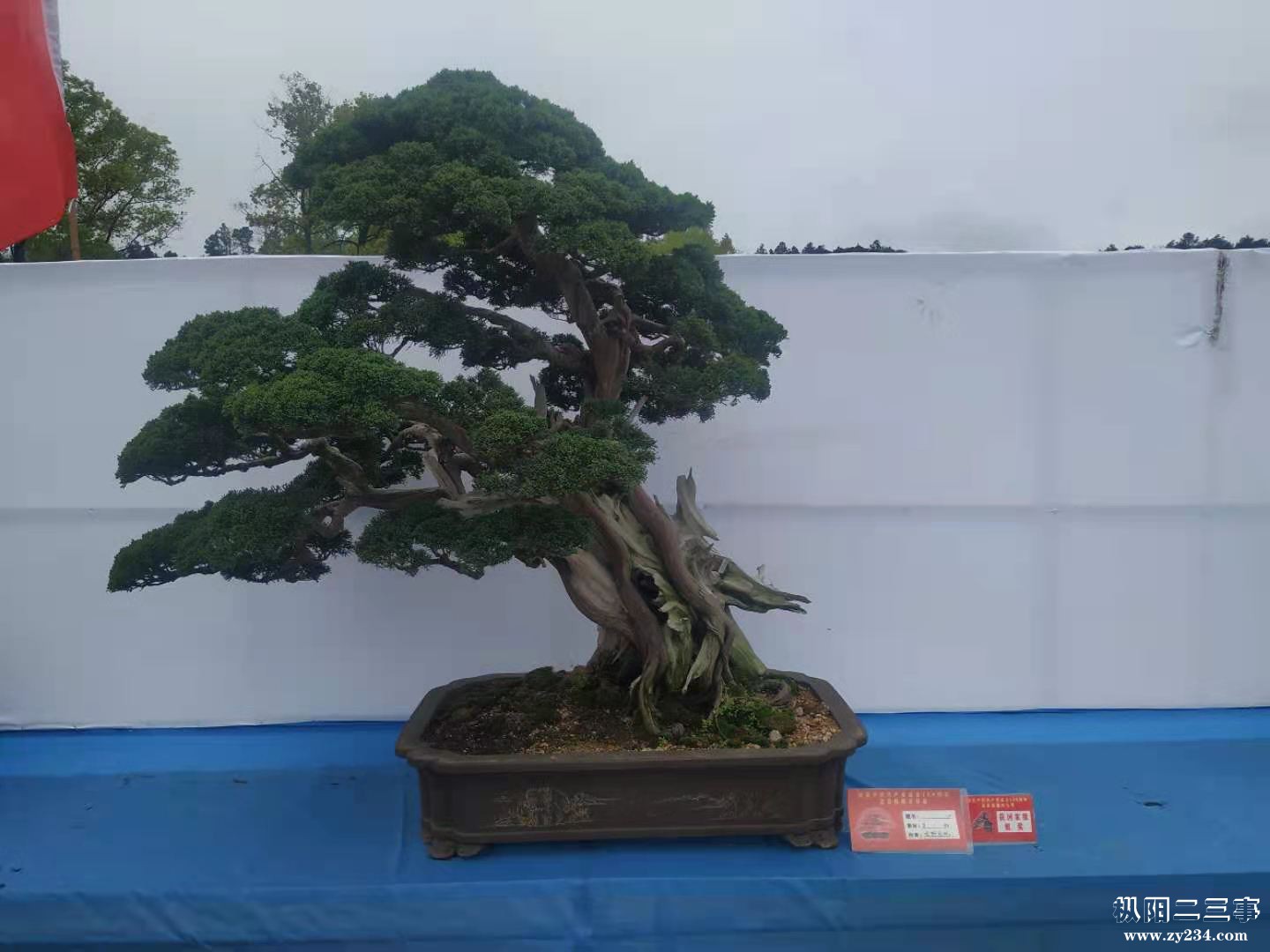 微信图片_20210402223119.jpg