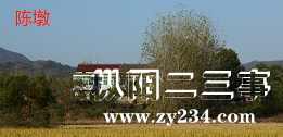 陈墩.jpg