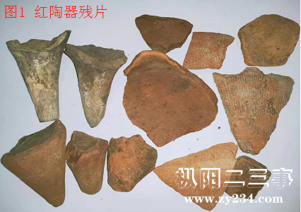 陶器皿.jpg