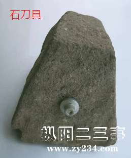 04.jpg