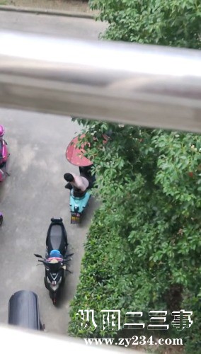 Videoframe_20210910_145227_com.huawei.himovie.jpg