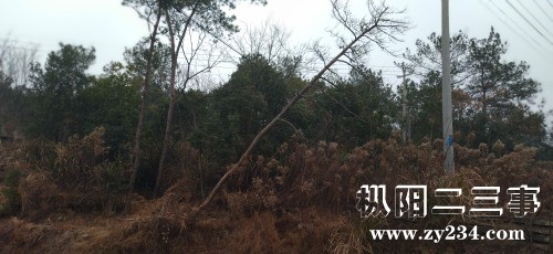 IMG_20220120_121647.jpg