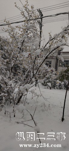 IMG_20220207_093002.jpg