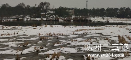 IMG_20220208_132557.jpg