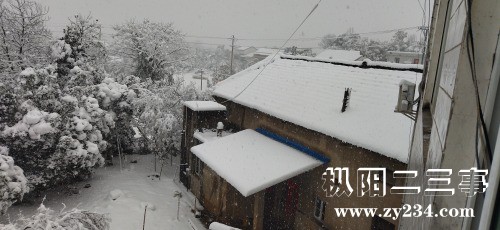 IMG_20220207_081934.jpg