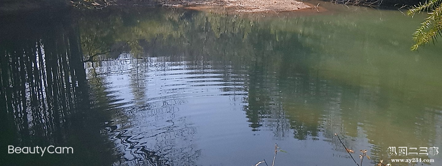水塘的水