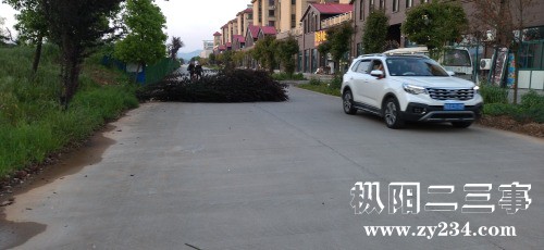 IMG_20220423_182854.jpg