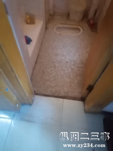mmexport1650932432047.jpg