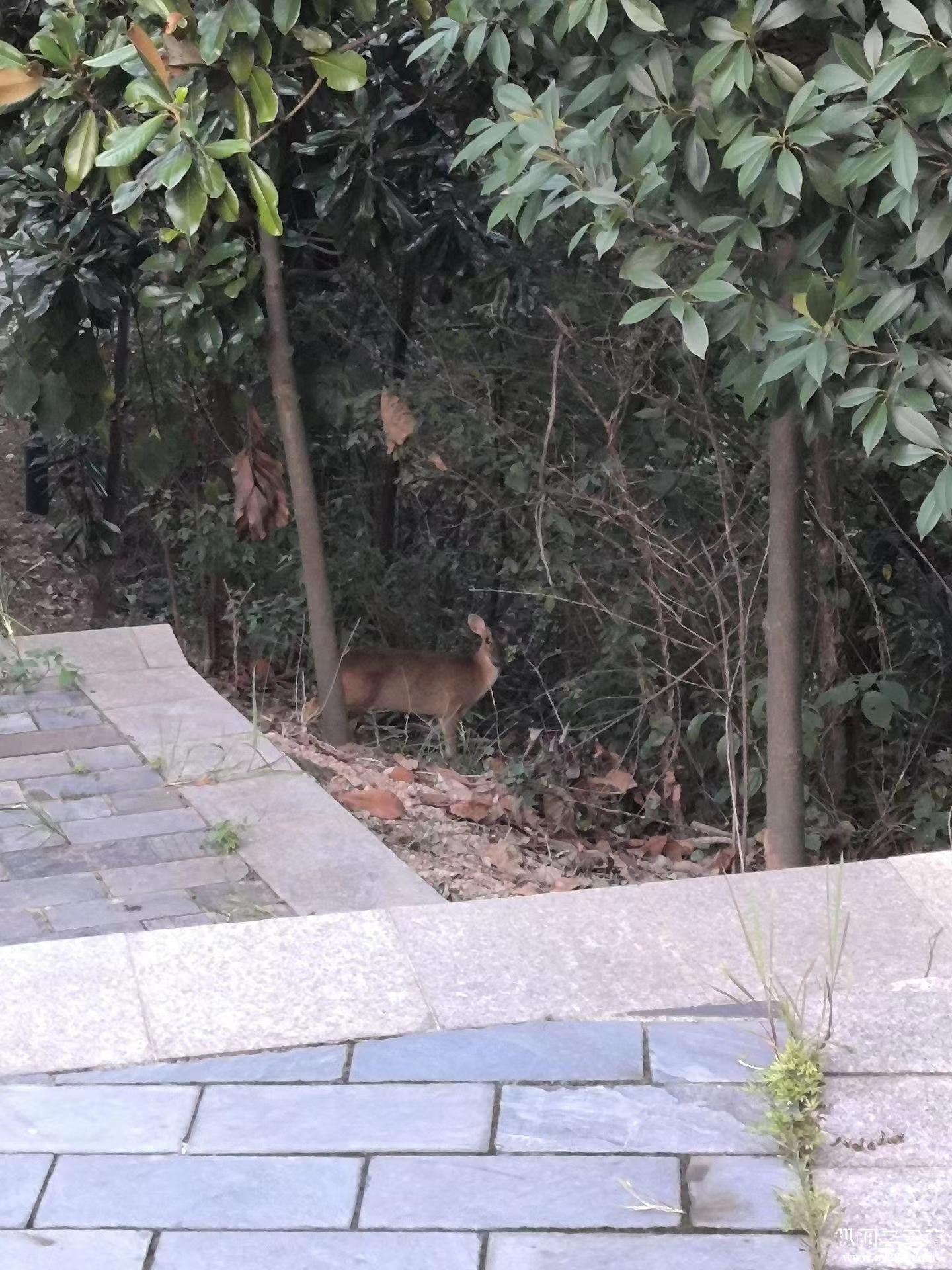 微信图片_20220905142246.jpg