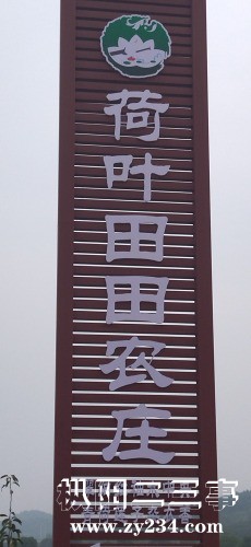 IMG_20220908_081537.jpg