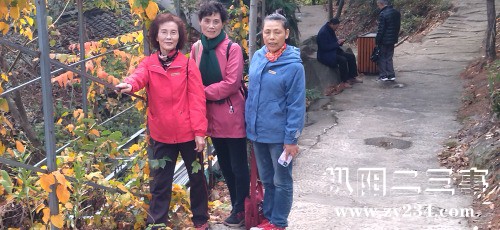 IMG_20221115_113032.jpg