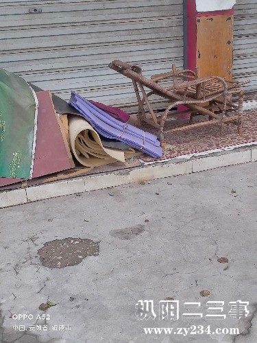 IMG20230319074252.jpg