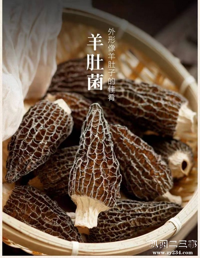 微信图片_202306091155432.jpg