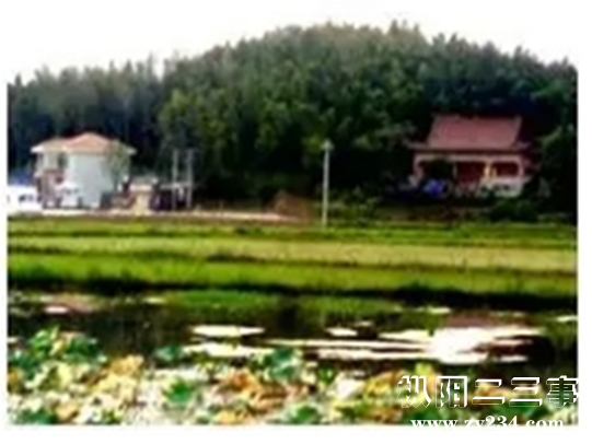 老虎山南向图.png