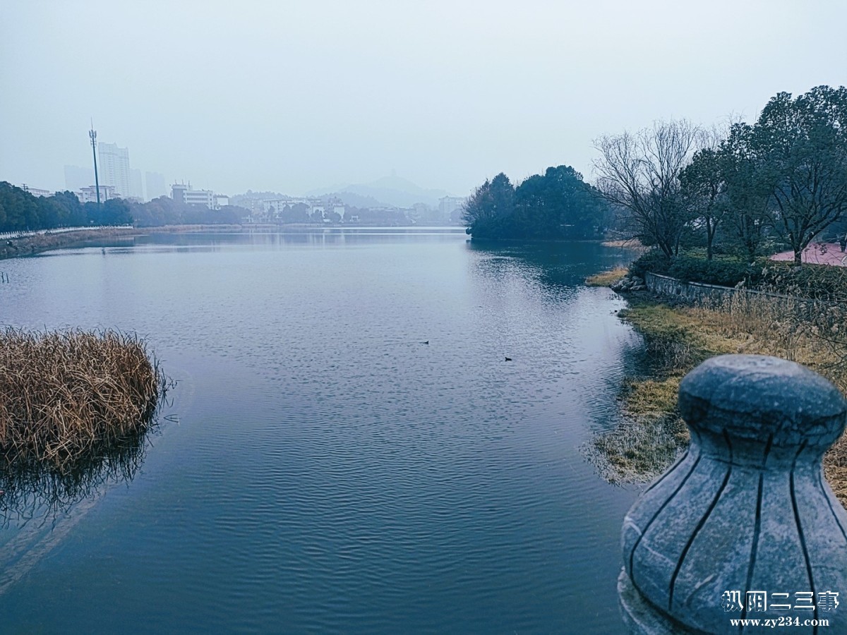 微信图片_20240107120048.jpg