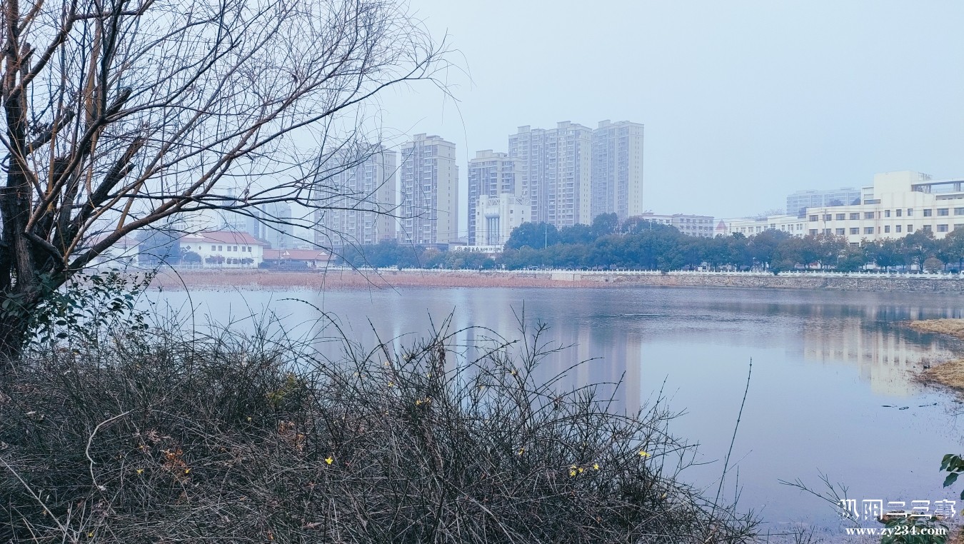 微信图片_20240107120206.jpg