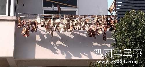 IMG_20231231_144202.jpg